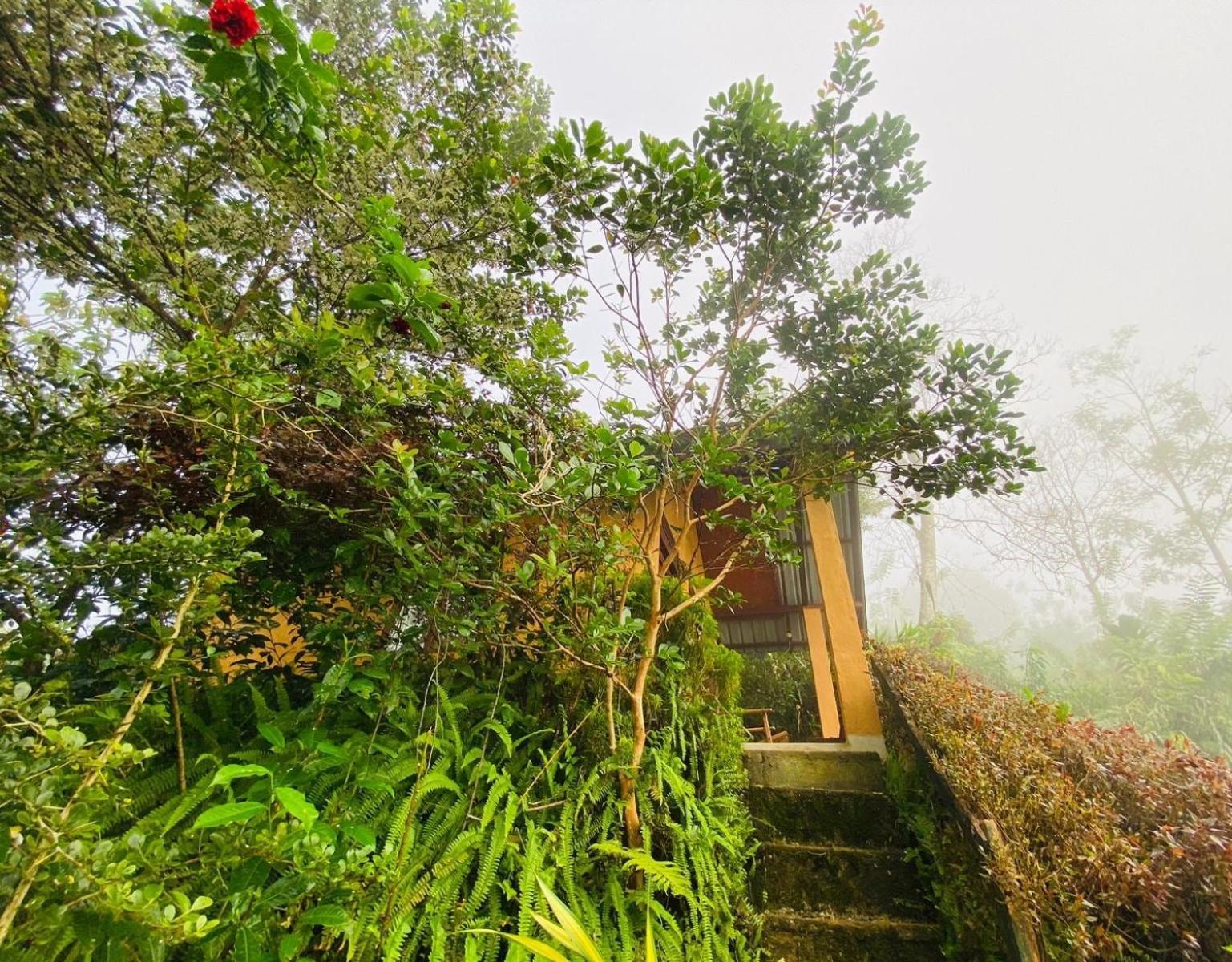 Rainforest Nature House Deniyaya Room photo